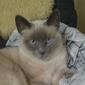 Meet your Posher, Janeen